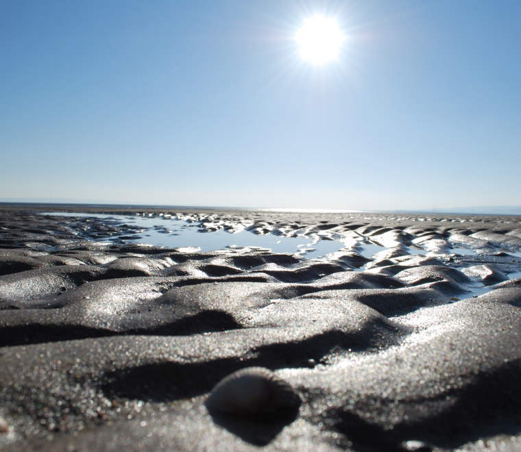 Assessing Welsh marine feature climate change vulnerability