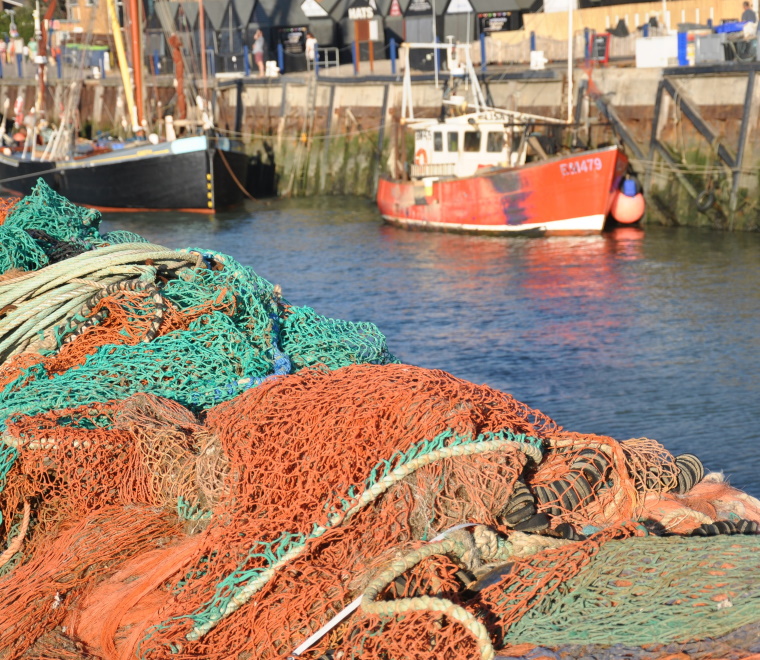 Improving the evidence base for fisheries assessments report available