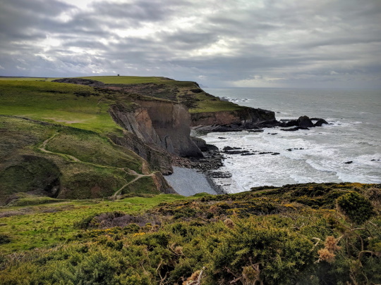coastal-footpath-near-hartland-devon-540x405.jpg
