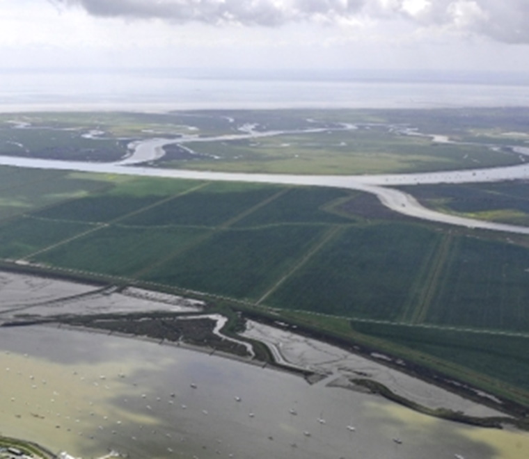 The cost of managed realignment