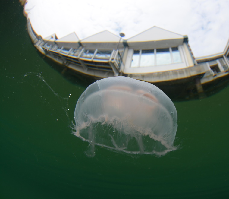 What lies beneath our office