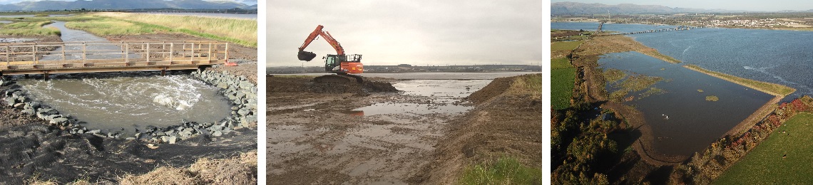 skinflats-collage (1)