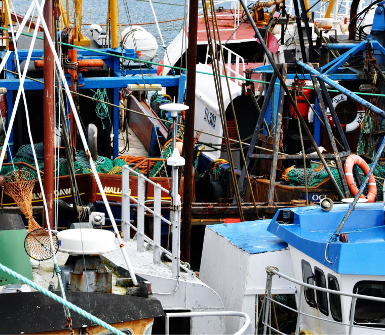 fishing-vessels-square.jpg
