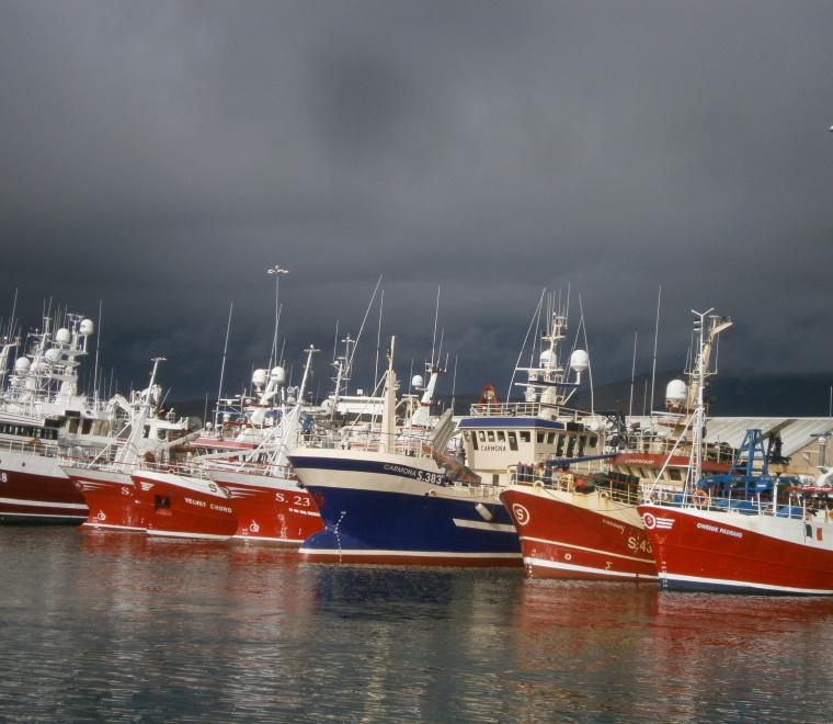 ABPmer's fisheries specialists support climate change impact review for BlueFish project