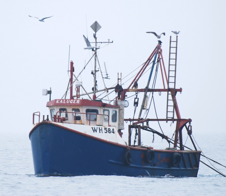 Blueprint for UK fisheries post-Brexit