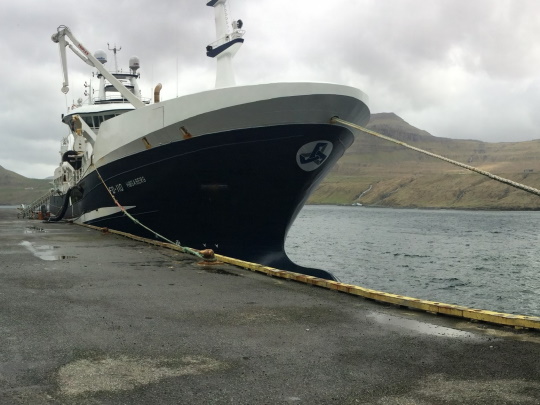 Fisheries climate change review