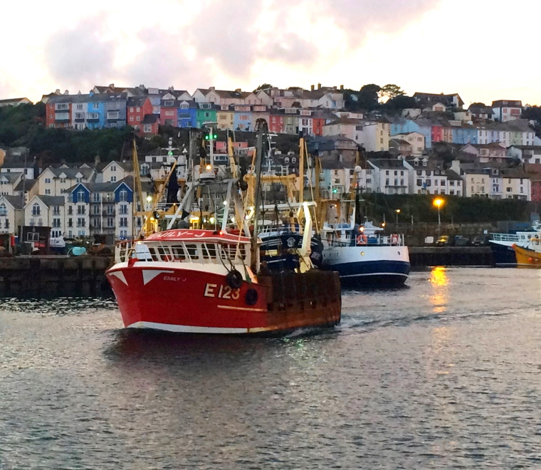 brixham-harbour-square.jpg