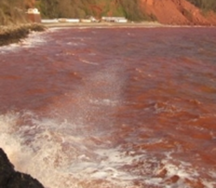 Is there a plankton bloom heading your way